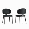 Modern Dining Chairs For Kitchen (Set of 2)