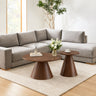 Modern Nesting Coffee Table Set For Living Room