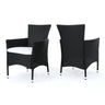 Dimensional Outdoor Dining Chair With Cushion Seat And Iron Frame (Set of 2)