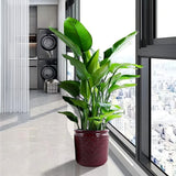 3 Pieces Ceramic Flowerpot, Planter For Patio & Garden Or Windowsills - Bean Paste Red