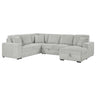 Devonshire - Sleeper Sectional Sofa Storage Chaise