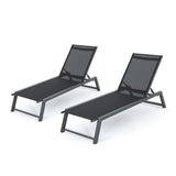 Myers - Modern Chaise Lounge Set With Adjustable Mesh Back