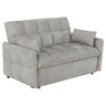 Alvara - Tufted Cushion Pull Out Sleeper Sofa Bed