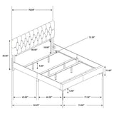 Lexie - Tufted Panel Bedroom Set