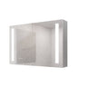 LED Medicine Cabinet With Mirror, Double Door With Defogger, Dimmer, Surface Mount