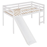 Loft Bed With Slide, Multifunctional Design