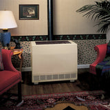 Empire RH50CB Closed Front Gas Room Heater with Blower - Propane