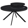 Shayne - Round Top Coffee Table With 2 Tier Design