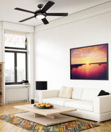 Westinghouse 7224200 Comet 52-Inch Indoor Ceiling Fan with Dimmable LED Light Fixture