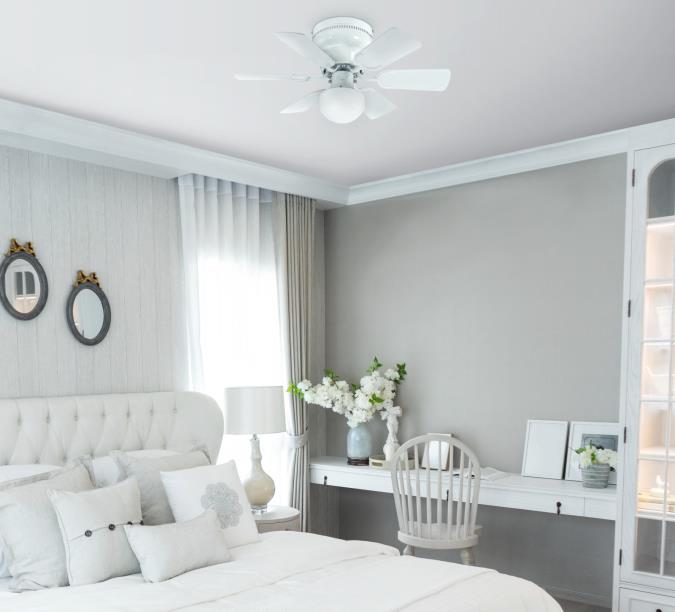 Westinghouse 7230800 Petite 30-Inch Indoor Ceiling Fan with LED Light Fixture