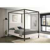 Mellie - Canopy Bed