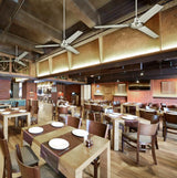 Westinghouse 7861400 Jax Industrial-Style 56-Inch Indoor Ceiling Fan