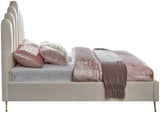 Lily - Bed