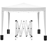 10'X10' Folding Canopy With 4 Removable Sidewalls Outdoor Event Shelter UPF 50+ Gazebo Portable Tents For Parties Beach Camping Wedding Ez Pop Up Canopy 4 Pieces Weight Bag + Carry Bag