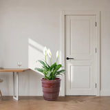 3 Pieces Flowerpot, Planter For Patio, Garden Or Windowsills