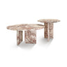 Elegant Coffee Duo Table Set