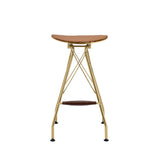 Dragea - Bar Stool Set of 2) - Whiskey Synthetic Leather & Gold