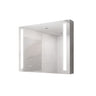 LED Medicine Cabinet With Mirror, Double Door With Defogger, Dimmer, Surface Mount