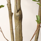 Lifelike Artificial Olive Tree With Plastic Pot For Home Living Room Decor - Green Leaves