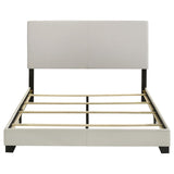 Dorian - Upholstered Panel Bed