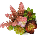 Artificial Succulent Table Decor (Set of 2) - Green - Plastic