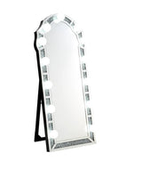 Noralie - 63" Accent Floor Mirror - Mirrored & Faux Diamonds