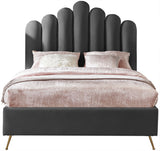 Lily - Bed