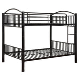 Cayelynn - Bunk Bed