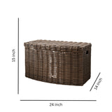 Joseph - Rectangular Curve Resin Woven Wicker Trunk With Handles Multi Purpose Storage - Walnut Brown