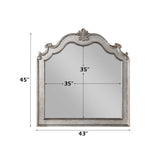 Esteban - Mirror - Antique Champagne