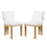 Indoor Dining Chair (Set of 2)