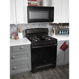 30-inch Amana(R) Electric Range with Extra-Large Oven Window - (AER6603SFB)