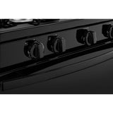 Amana(R) 30-inch Gas Range with Easy-Clean Glass Door - (AGR4203MNS)