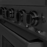 ZLINE 30 in. 4.2 cu. ft. Classic Dual Fuel Range with Gas Cooktop and Electric Convection Oven in Black Stainless Steel with 4 Brass Burners (CDRB-BR-30) - (CDRBBR30) -