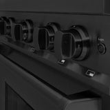 ZLINE 30 in. 4.2 cu. ft. Classic Gas Range with 4 Burner Cooktop and Convection Gas Oven in Black Stainless Steel (CGRB-30) - (CGRB30) -