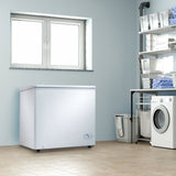 Danby 5.5 cu. ft. Chest Freezer in White - (DCF055A2WDB)