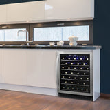 Danby 60 Bottle Built-in Wine Cooler in Stainless Steel - (DWC057A1BSS)