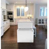 10.0 CF Chest Freezer - (EFRF1003) -
