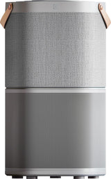 Electrolux 267 Sq. Ft. HEPA Air Purifier, Air Quality Monitoring, Gray