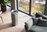 Electrolux 401 Sq. Ft. HEPA Air Purifier, Air Quality Monitoring, Gray
