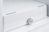24" Wide Built-in All-refrigerator, ADA Compliant - (FF7WBISSTBADA)