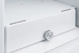 24" Wide All-refrigerator - (FFAR10)