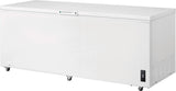 Frigidaire 24.9 Cu. Ft. Chest Freezer - (FFCL2542AW) - FRIGIDAIRE