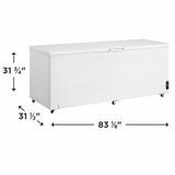 Frigidaire 24.9 Cu. Ft. Chest Freezer - (FFCL2542AW) - FRIGIDAIRE