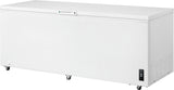 Frigidaire 24.9 Cu. Ft. Chest Freezer - (FFCL2542AW) - FRIGIDAIRE