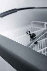 9.5 CU.FT. Chest Freezer - (FOCUS106)