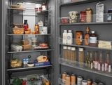 20 Cu. Ft. Garage Ready Single-Door Refrigerator - (FRAE2022AF) -