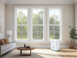 Frigidaire Gallery 2-in-1 50-Pint Smart Wi-Fi Dehumidifier with Built-In Allergy Filter, Energy Star, White