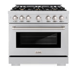 ZLINE 36 in. 5.2 cu. ft. Select Dual Fuel Range with Gas Cooktop and Electric Convection Oven in Stainless Steel with 6 Brass Burners (HDR-BR-36) - (HDRBR36) -