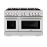 ZLINE 48 in. 6.7 cu. ft. Select Double Oven Dual Fuel Range in Stainless Steel with 8 Brass Burners (HDR-BR-48) - (HDRBR48) -